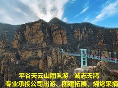 誠志天鴻