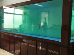 南京碧海水族