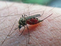 上格生物科技有限公司