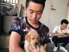 上海普陀区宠物救助领养收养收容中心