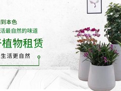 天津绿红园花卉有限公司