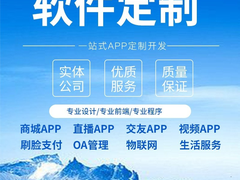 桂林系统开发公司