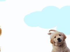 天诚犬业