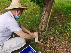 温州杀虫灭鼠公司