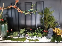 海口滨江鲜花绿植园圃