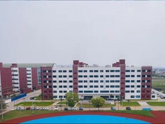 东莞橡果教育