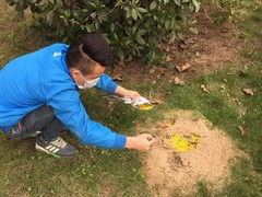 宁波灭白蚁公司