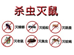 大连瑞德有害生物防治公司