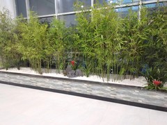 海南尚谷植颜园林景观有限公司