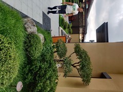 沈阳别墅庭院设计施工