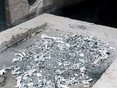 上海宠物火化