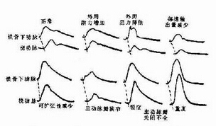 北京嘉和永康中医药研究院