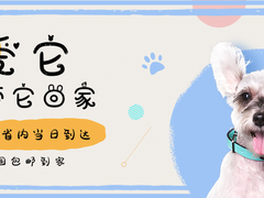 高端萌寵