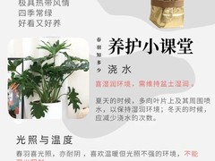 上海园艺