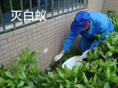 绍兴杀虫灭鼠公司