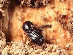 上格生物科技有限公司