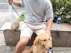 上海市小动物救助领养站