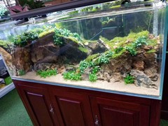 北京魚缸清洗