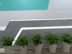 天津植物租摆