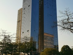 佛山帐无忧财税