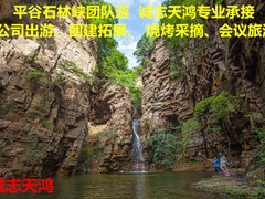 诚志天鸿