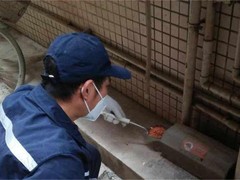 绵阳灭鼠公司
