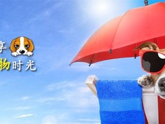 石家庄西伯利亚雪橇犬价格