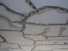 深圳外墙漏水维修