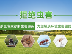 无锡24小时上门灭蟑螂