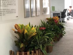天津海明园艺工程有限公司