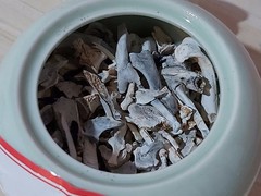 上海宠物火化