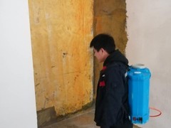 遂宁灭白蚁公司