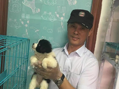 上海杨浦区上海杨浦区宠物救助领养收养收容站