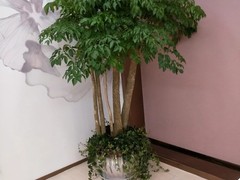 威海园林公司