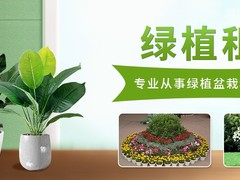 西安希美园林花卉租赁公司