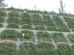 天津建筑劳务（华旗）有限公司