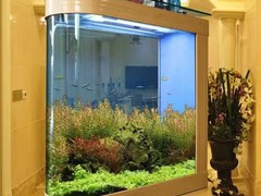 北京魚缸清洗