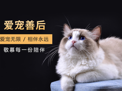 北京宠物火化
