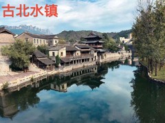 誠志天鴻