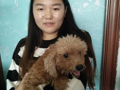 上海杨浦区上海杨浦区宠物救助领养收养收容站