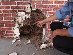 上格生物科技有限公司