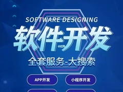 沈阳软件开发