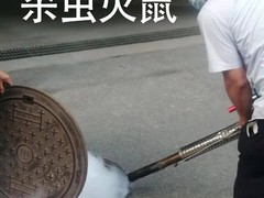 泰安杀虫灭鼠公司