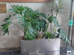 潍坊鸢飞礼品