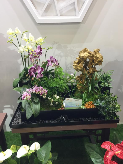 09组合盆栽13581883406:电话联系电话北京丰台盛芳国际花卉c厅9号地图