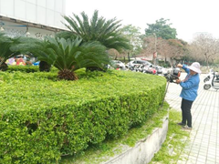 西安园林设计公司