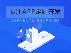 嘉兴系统开发公司