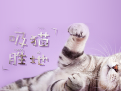 钟灵猫舍