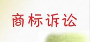 理达知识产权