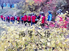 誠(chéng)志天鴻